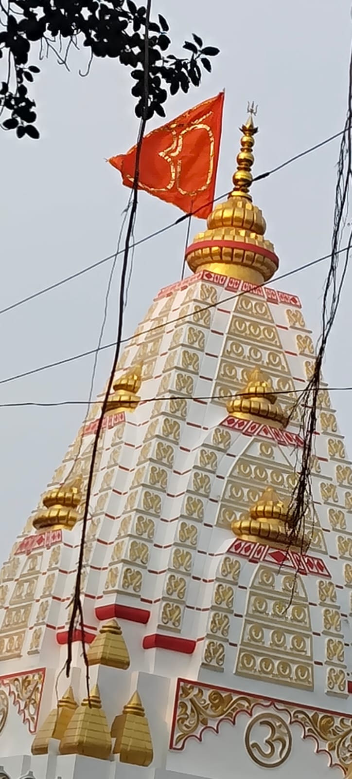 श्री वंखंडेश्वर महादेव मंदिर का दिव्य शिखर